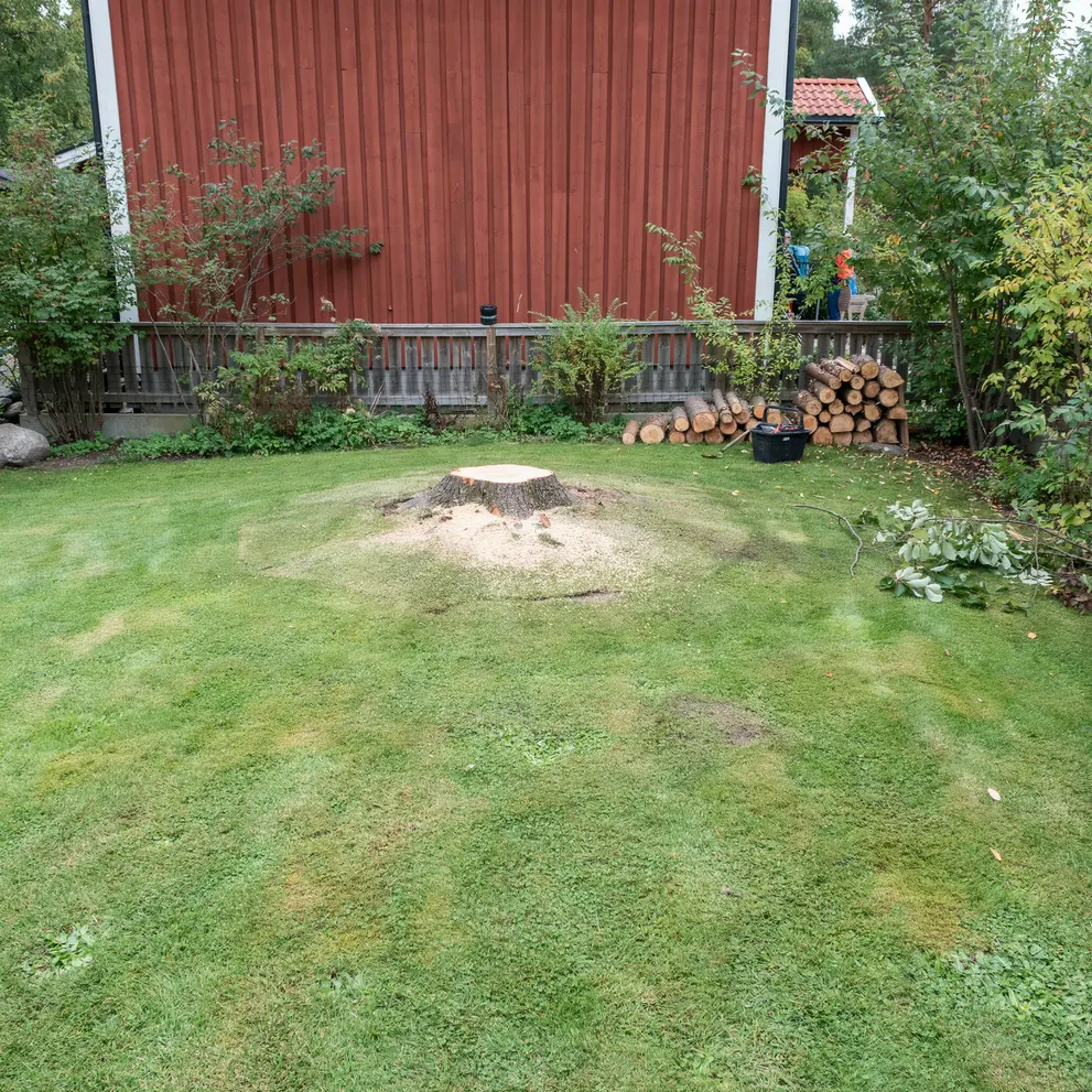 arborist stubbfrasning tradfallning tyreso brevik trollbacken stockholm